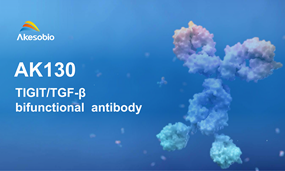 Akeso Announces First Patient Dosed in Registrational Phase II Study of TIGIT/TGF-β Bifunctional Antibody Fusion Protein AK130 Combined with Ivonescimab for Advanced Pancreatic Cancer